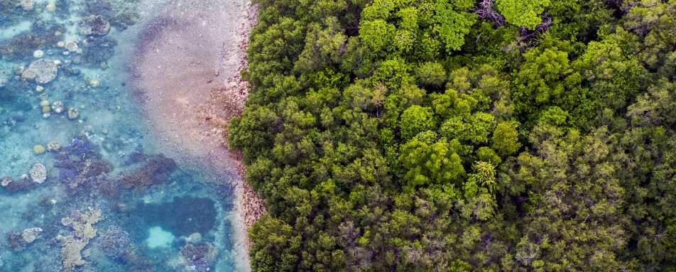 Aerial View - Bawah Island