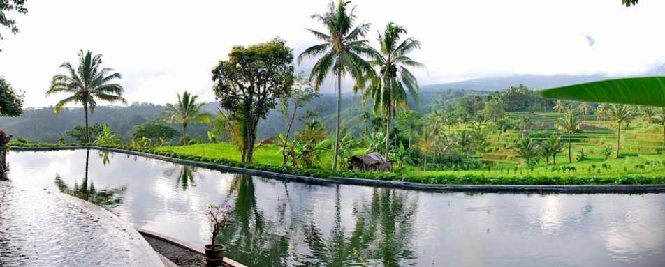 Swimming Pool - Ijen Resort