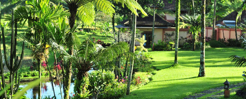 Gardens - Ijen Resort