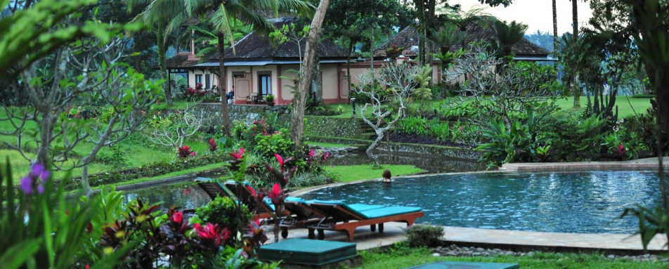 Swimming Pool - Ijen Resort