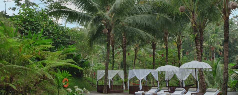 Swimming Pool - Komaneka at Bisma 