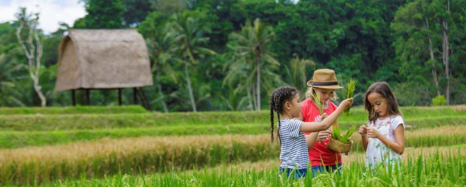 Mandapa, a Ritz-Carlton Reserve