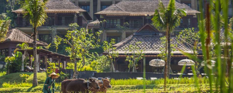 Mandapa, a Ritz-Carlton Reserve