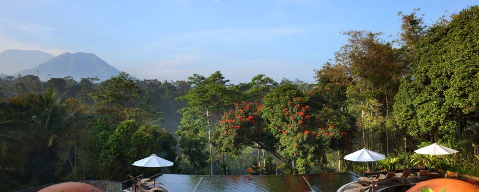Pool views - MesaStila