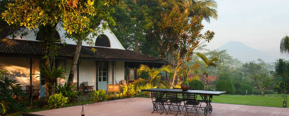 Landscape - MesaStila