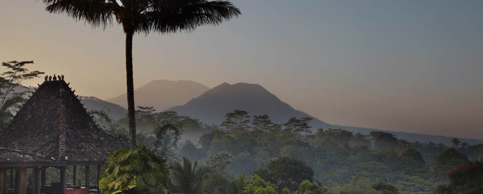 Landscape - MesaStila