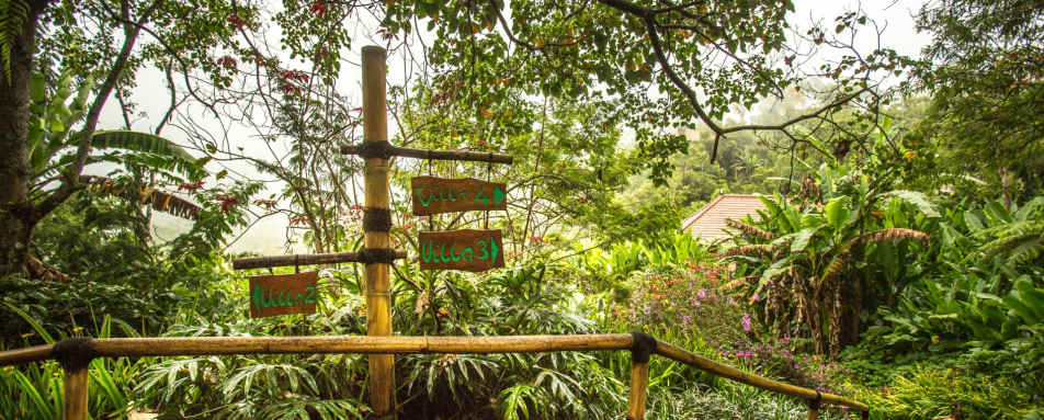 Munduk Moding Plantation Nature Resort and Spa