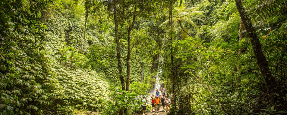 Munduk Moding Plantation Nature Resort and Spa