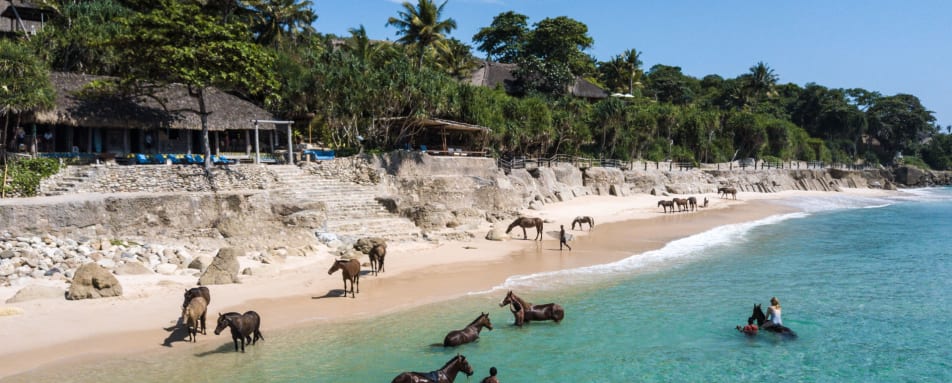 Horse Riding in Ocean 