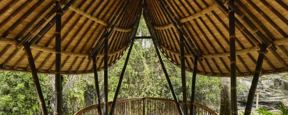 Nirjhara - The Yoga Shala 