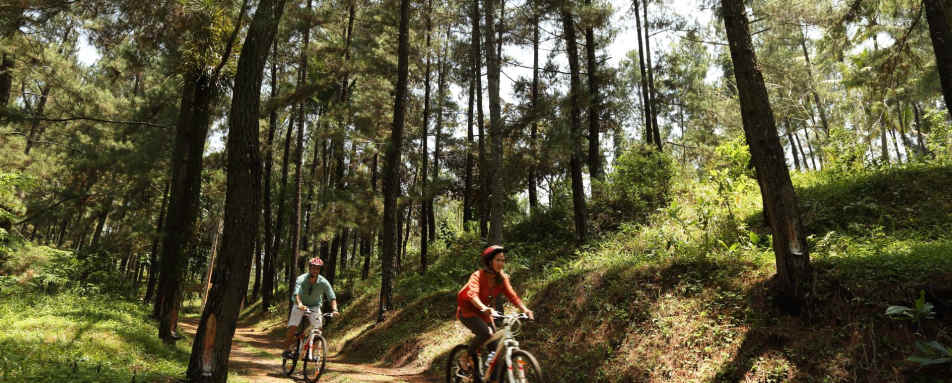 Cycling Tour - Plataran Borobudur Resort & Spa