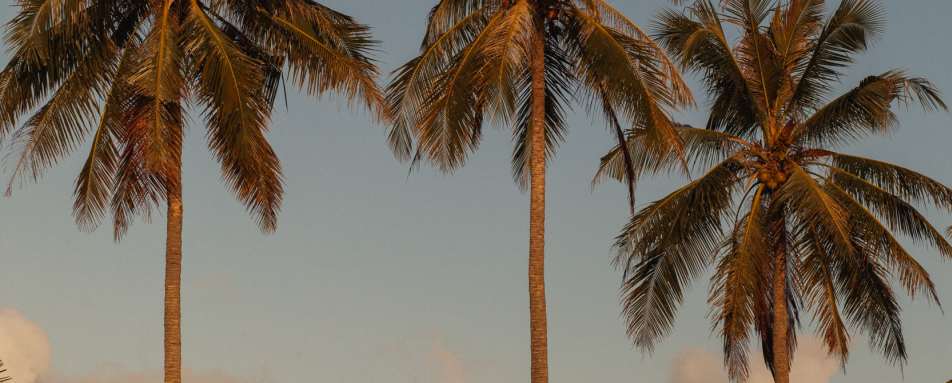 View of the bar / restaurant  