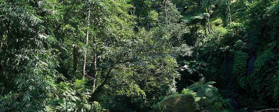 River Rafting in Ubud - Bali for Families