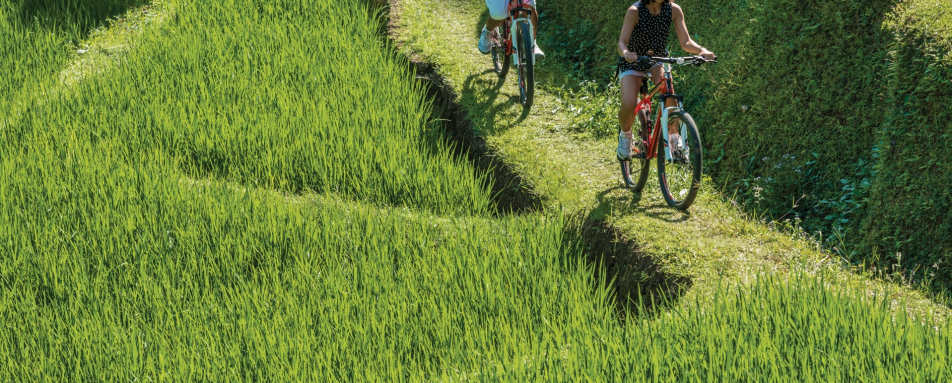 Cycling in Ubud - Bali for Families