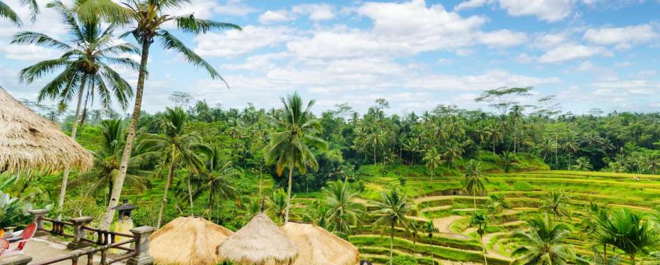 Bali - Bali and Lombok