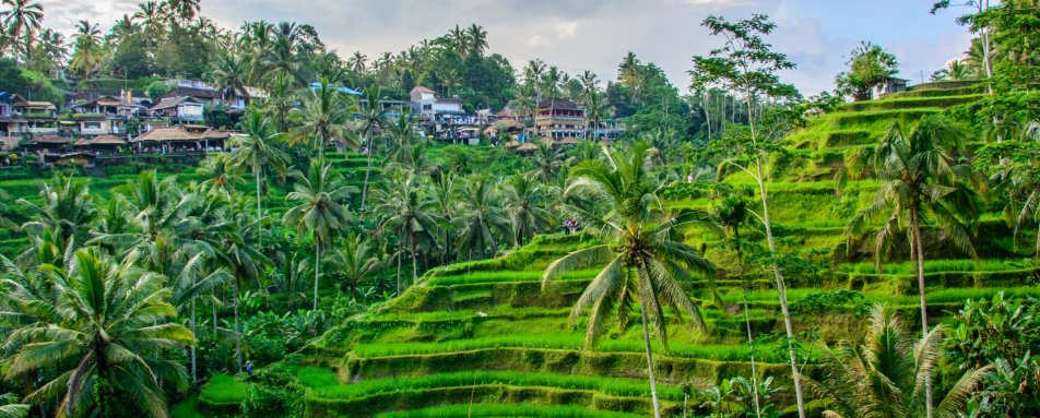 Ubud 