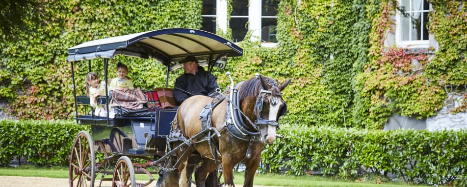 Car through the Gardens 