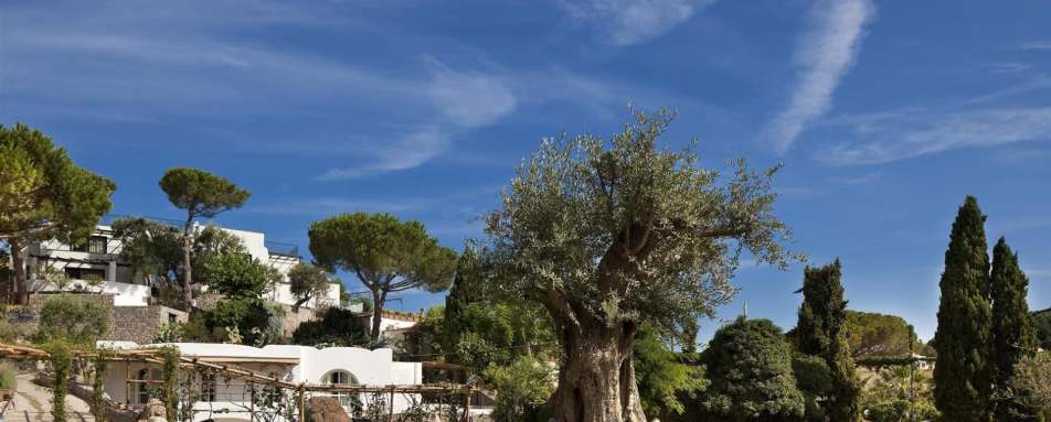 Garden - Garden and Villas Resort