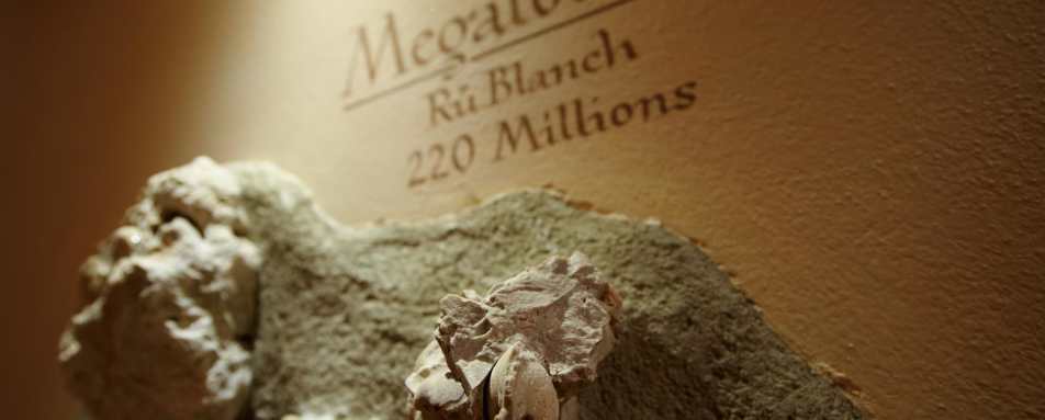 Lagacio Mountain Residence