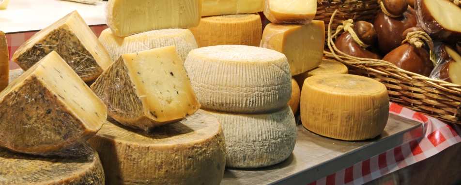 Meet with Local Pecorino Cheese Maker in Val dOrcia