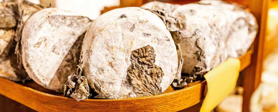 Aged pecorino toscano 