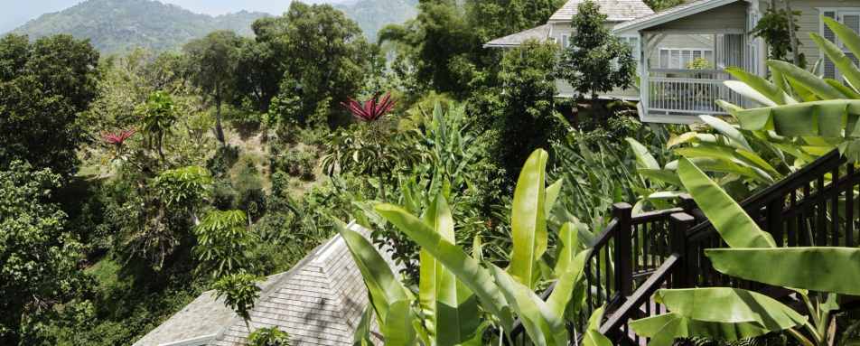 View - Strawberry Hill