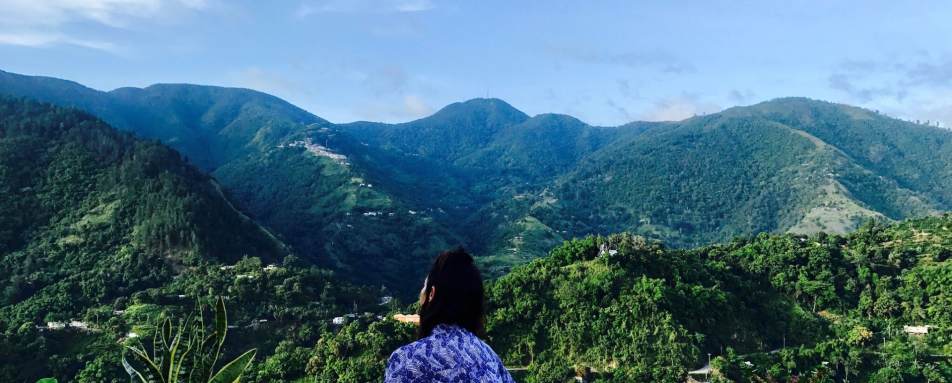 Mountain View - Strawberry Hill