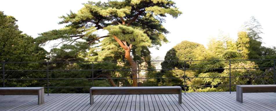 Yoga Area - Beniya Mukayu