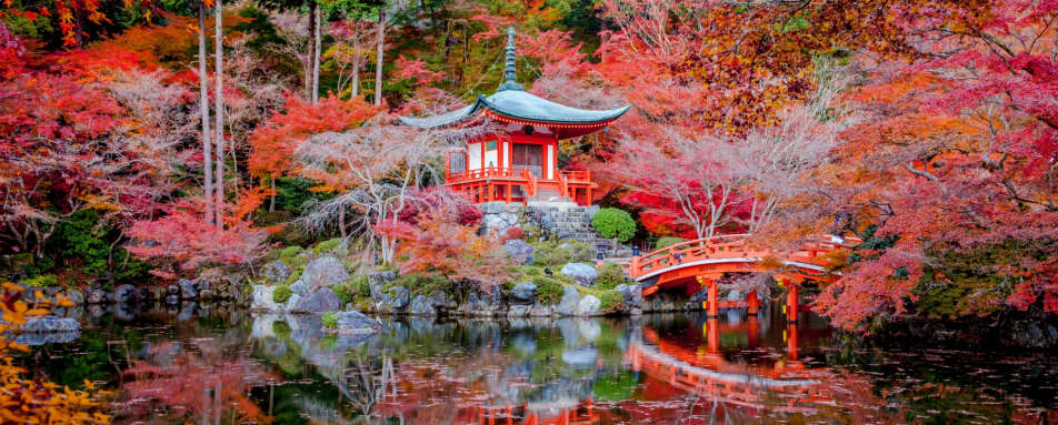 Discover Kyoto - Four Seasons Kyoto