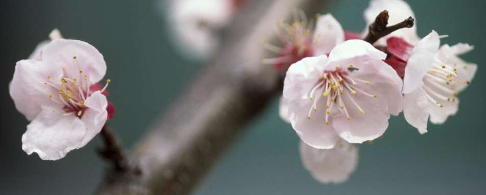 Discover Rest of Japan