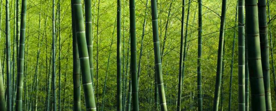 Discover Rest of Japan