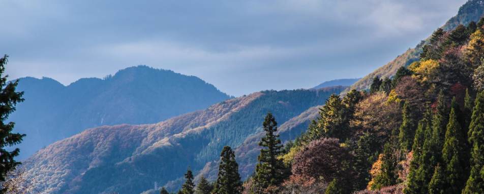 Nakasendo Walking Trail 