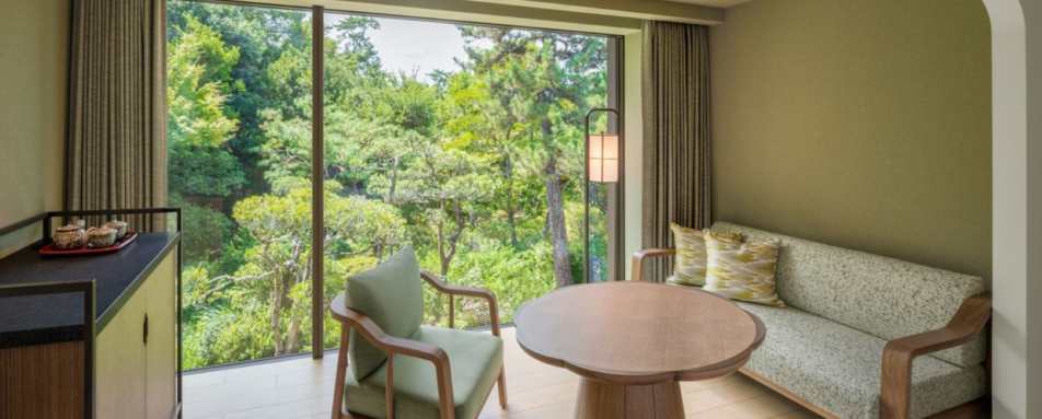 Standard King Room View 