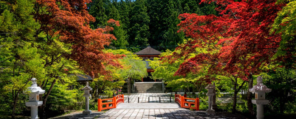 Mount Koya 