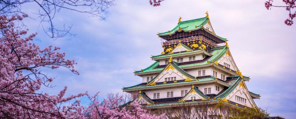 Osaka Castle in the Cherry Blossom Season