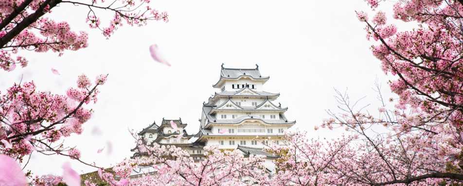 Himeji Castle 