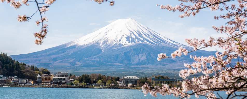 Fuji 