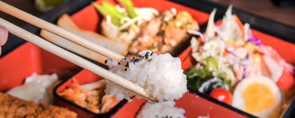 Bento Box in Japan 