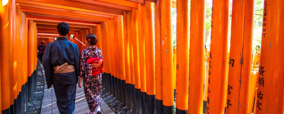 Visit Fushimi Inari Shrine 