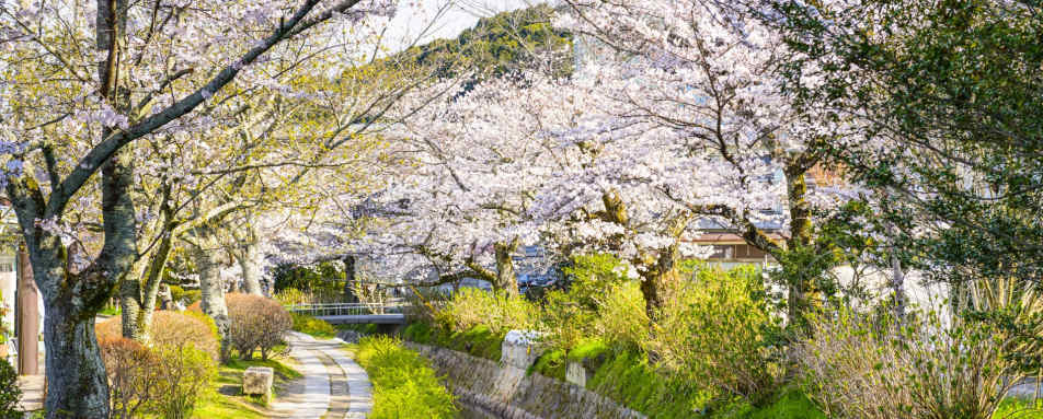 The Philosopher's Path, Kyoto