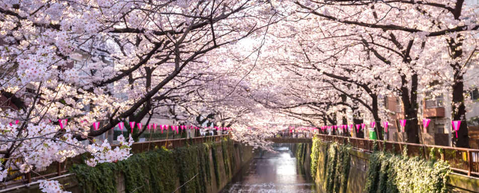 Tokyo - Authentic Japan