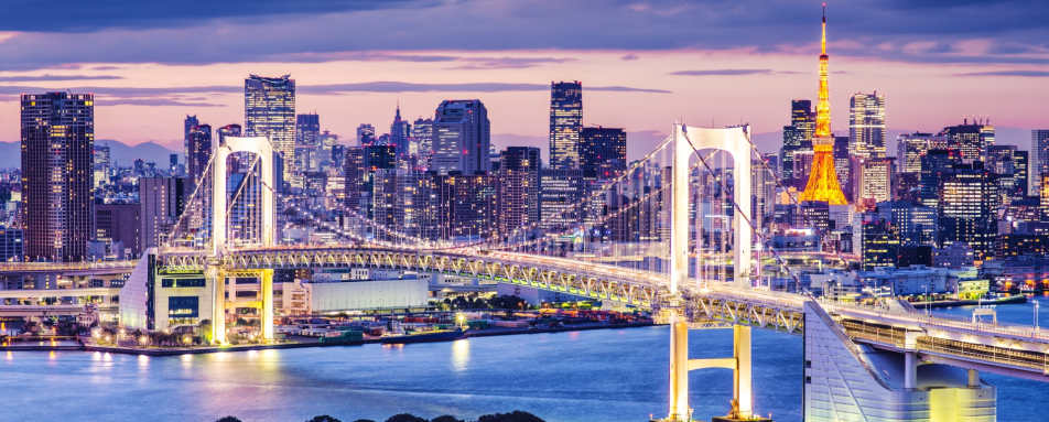 Skyline of Tokyo at Night  
