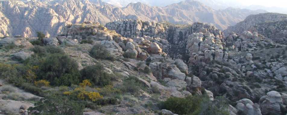 Dana Guesthouse - Dana Guest House