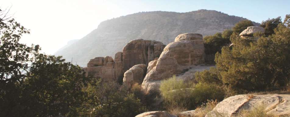 Dana Guesthouse - Discover Dana Nature Reserve