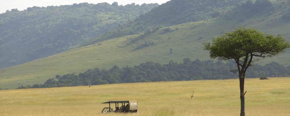 Game drive - Angama Mara