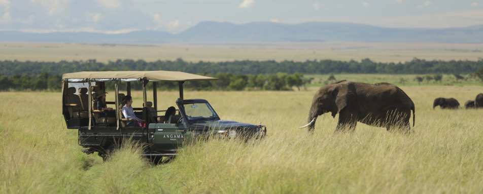 Game viewing - Angama Mara