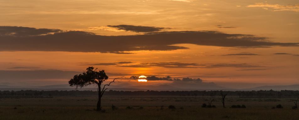 Sunrise - Angama Mara