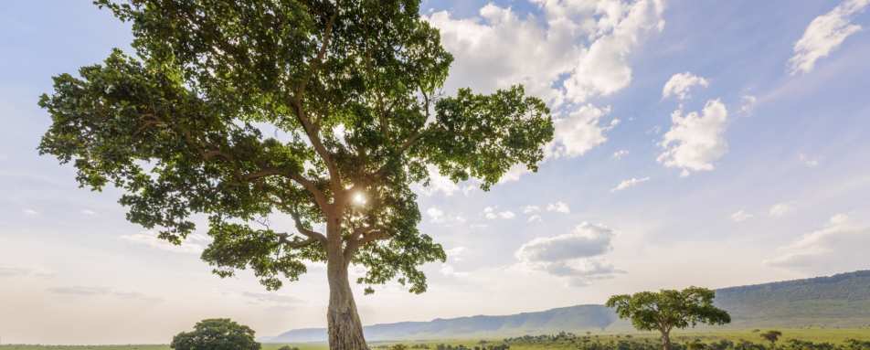 Angama Safari Camp - Sundowners 