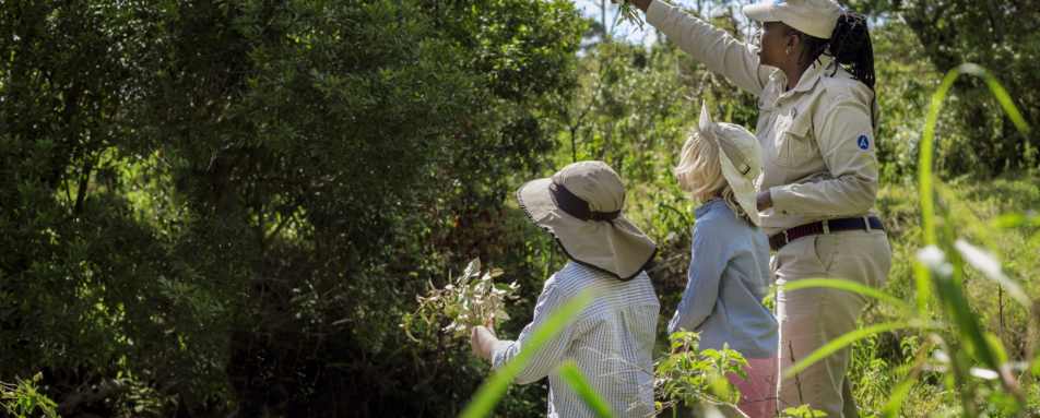 Angama Safari Camp - Nature Lessons 