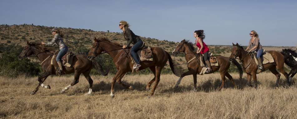 Horse riding on Borana